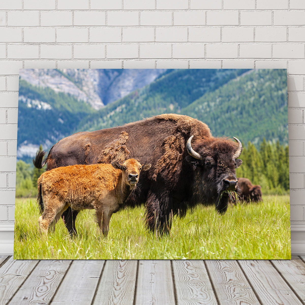 Buffalo with Calf Wall Art