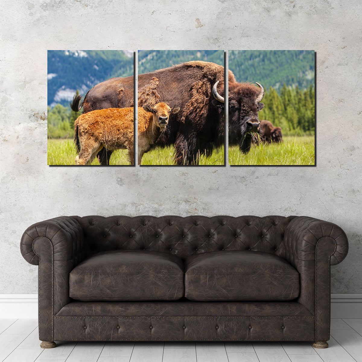 Buffalo with Calf Wall Art