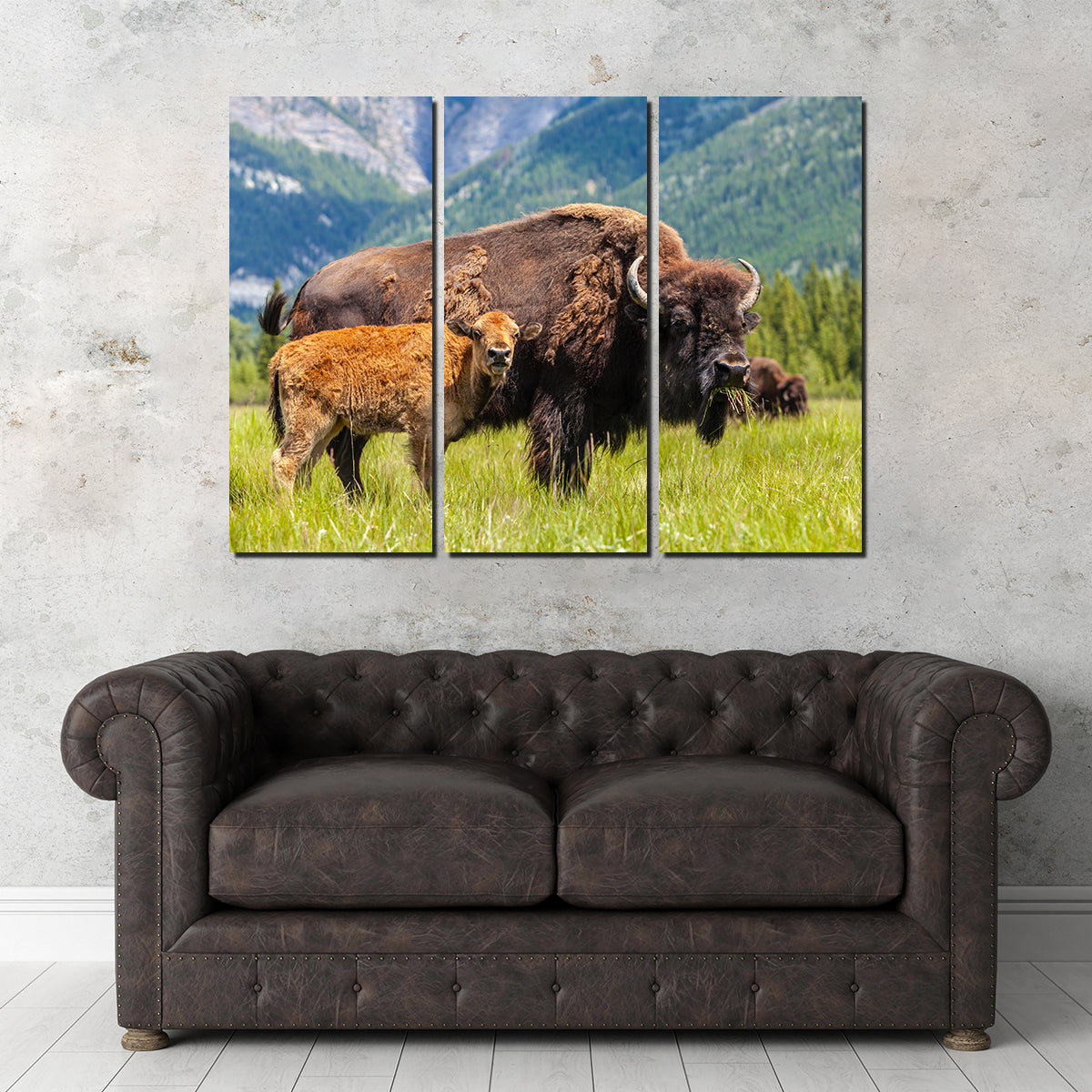 Buffalo with Calf Wall Art