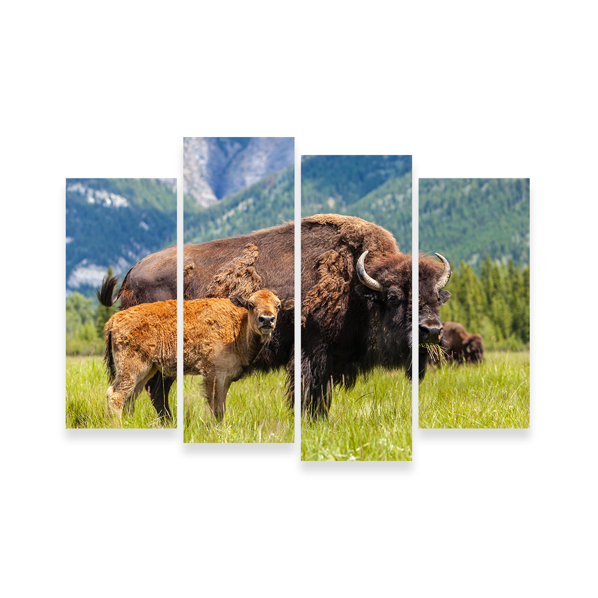 Buffalo with Calf Wall Art