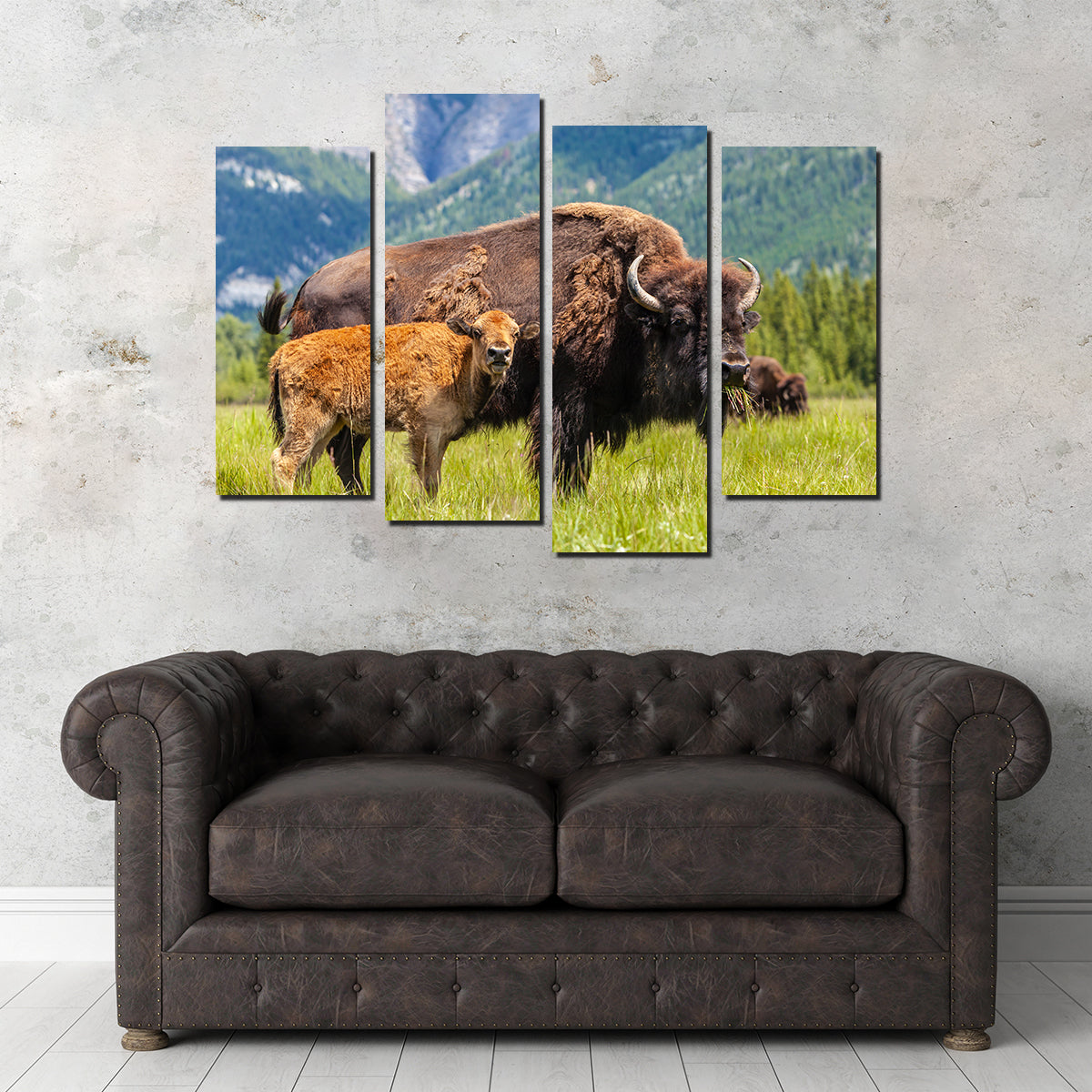 Buffalo with Calf Wall Art