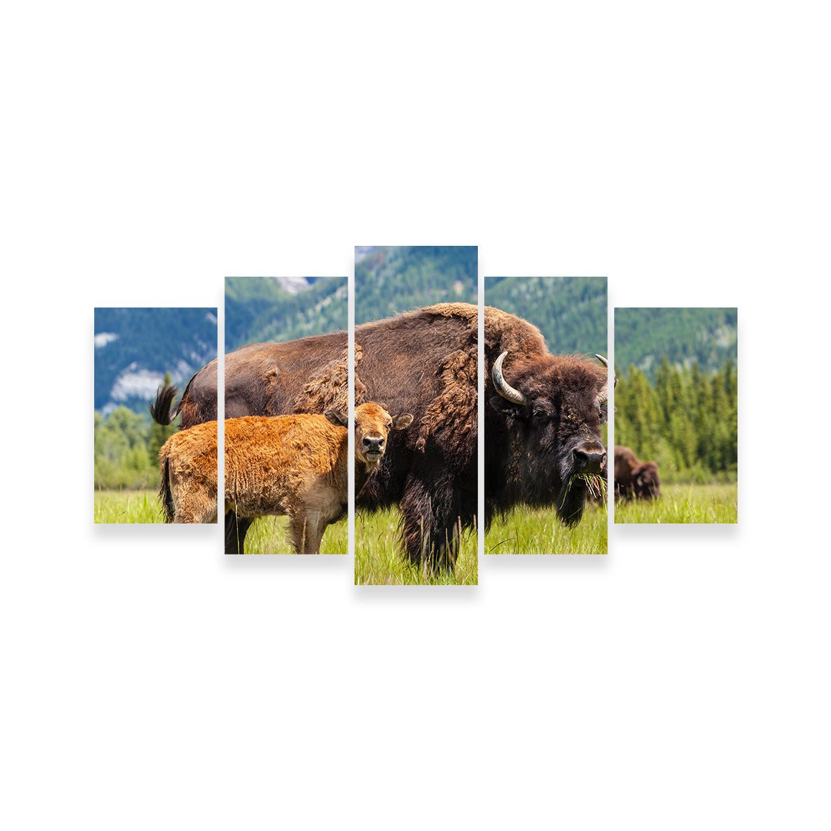 Buffalo with Calf Wall Art