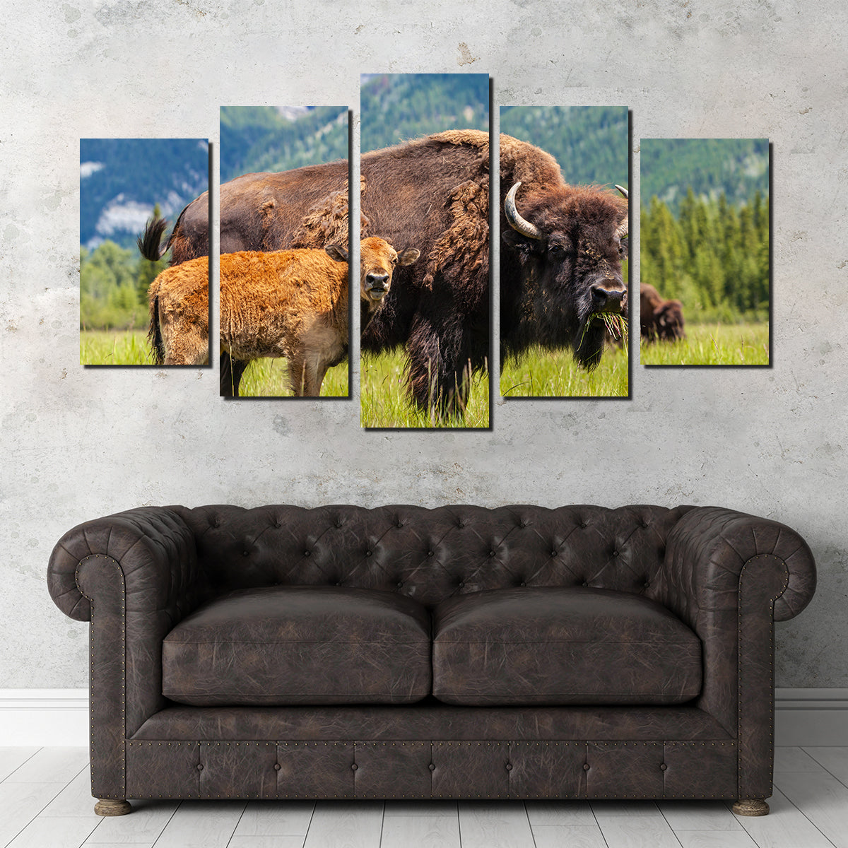 Buffalo with Calf Wall Art