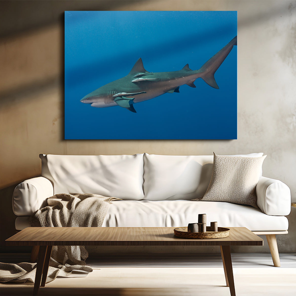 Bull Shark Wall Art