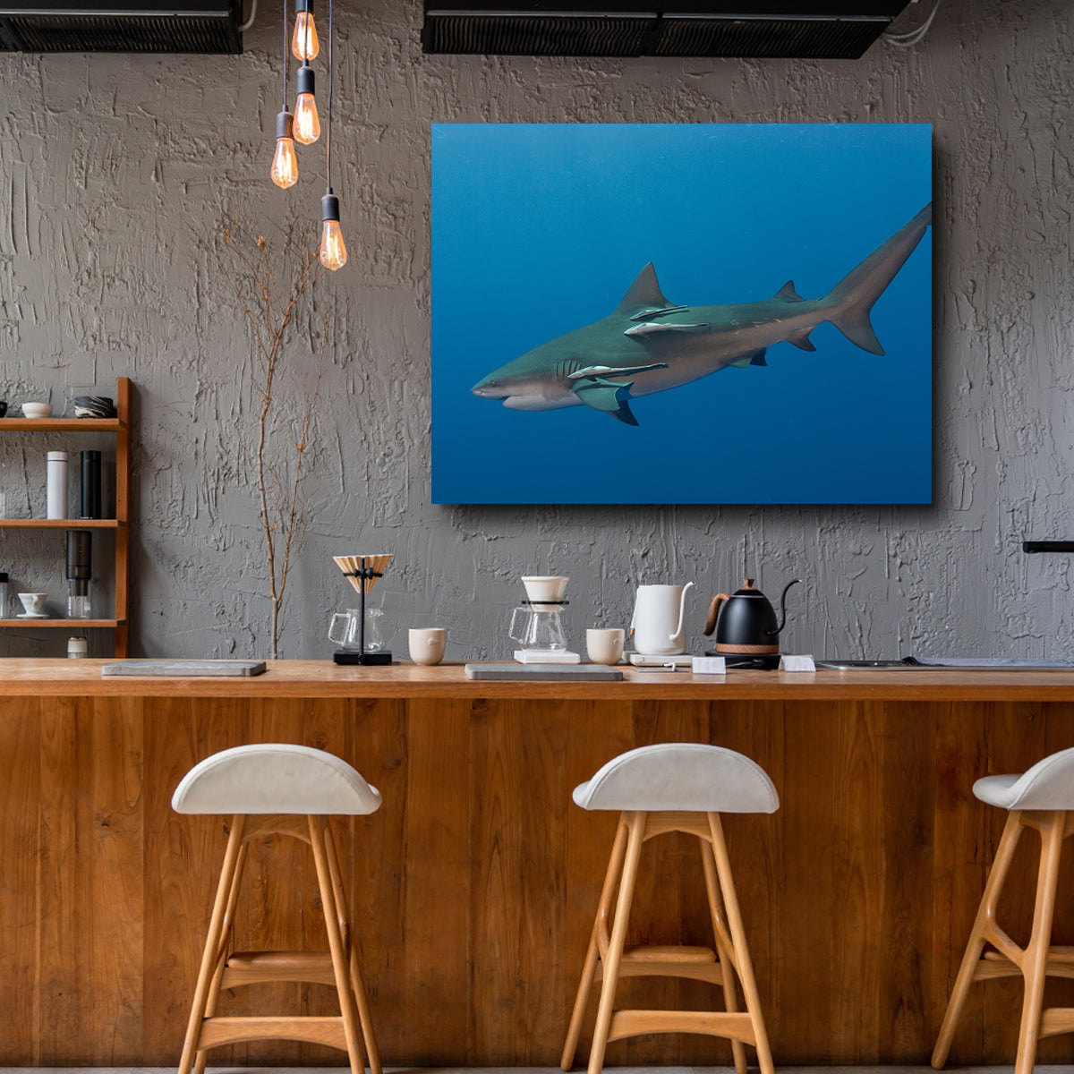 Bull Shark Wall Art
