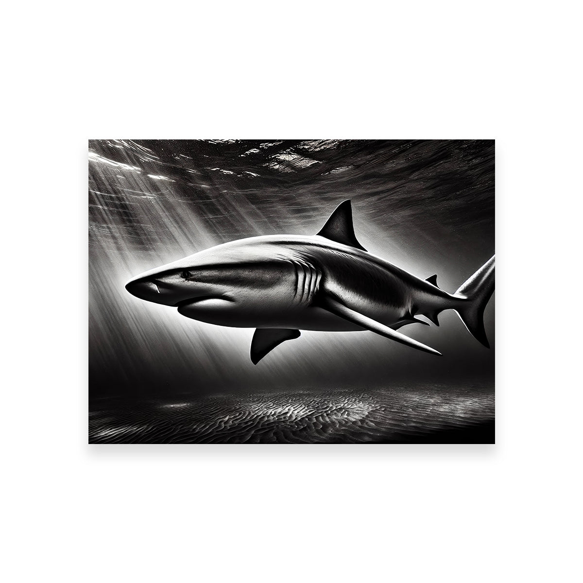 Bull Shark Grayscale Wall Art