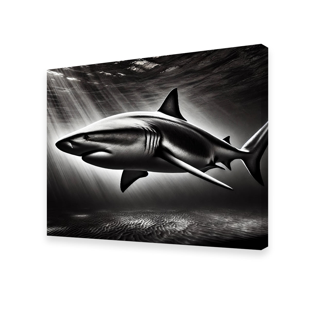 Bull Shark Grayscale Wall Art