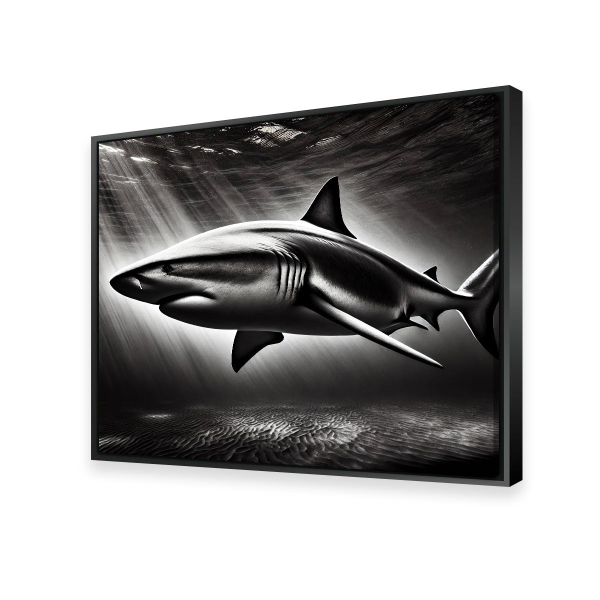 Bull Shark Grayscale