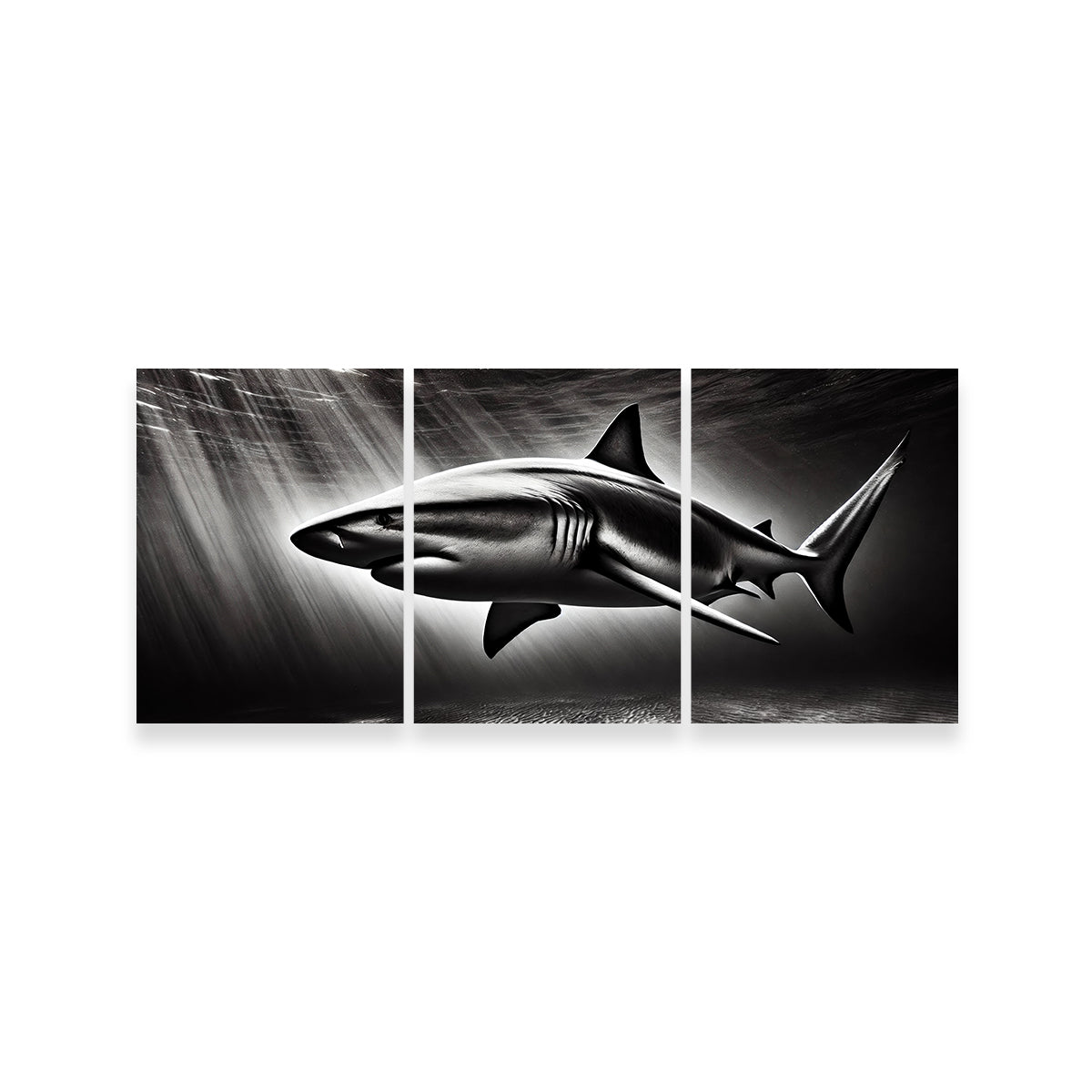 Bull Shark Grayscale