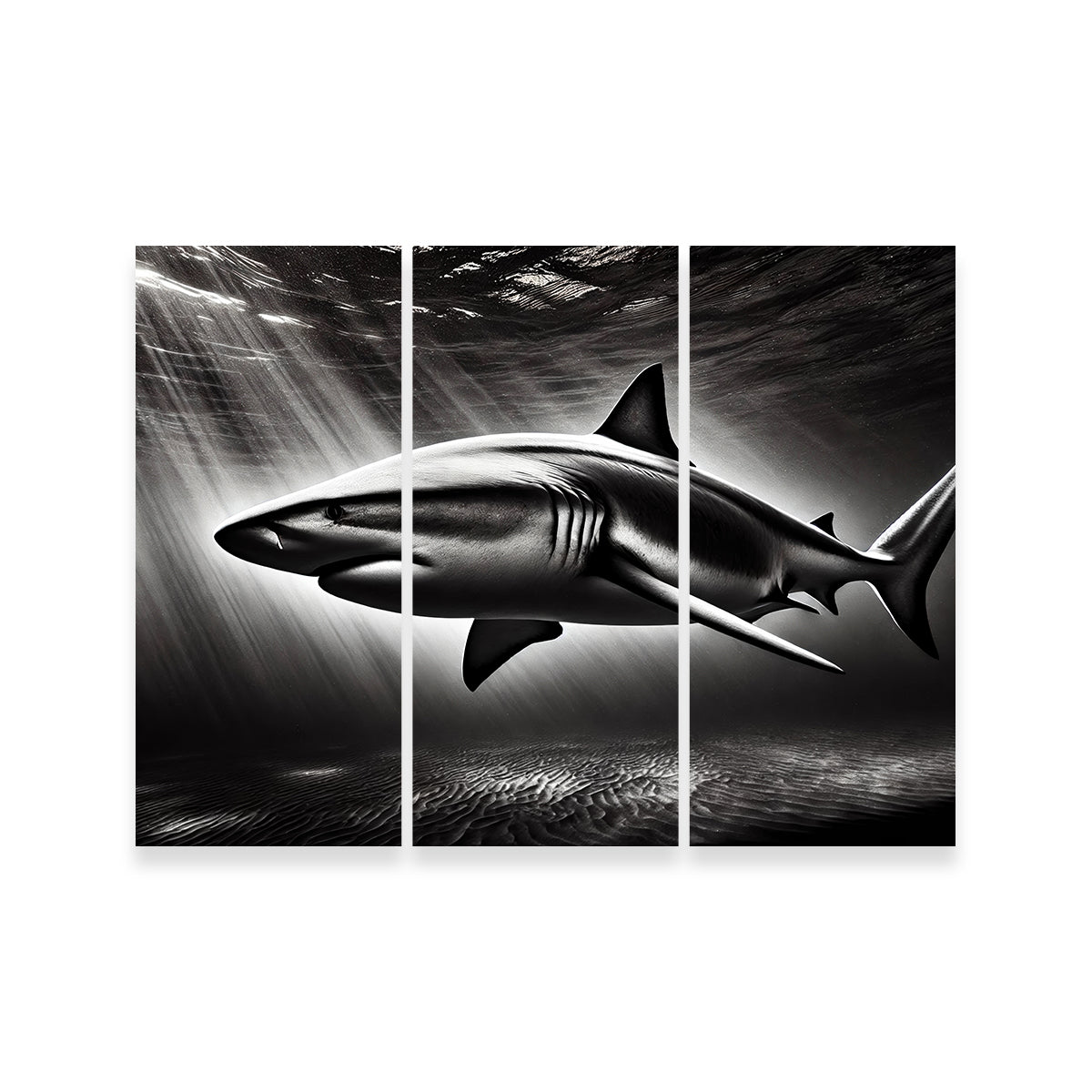 Bull Shark Grayscale