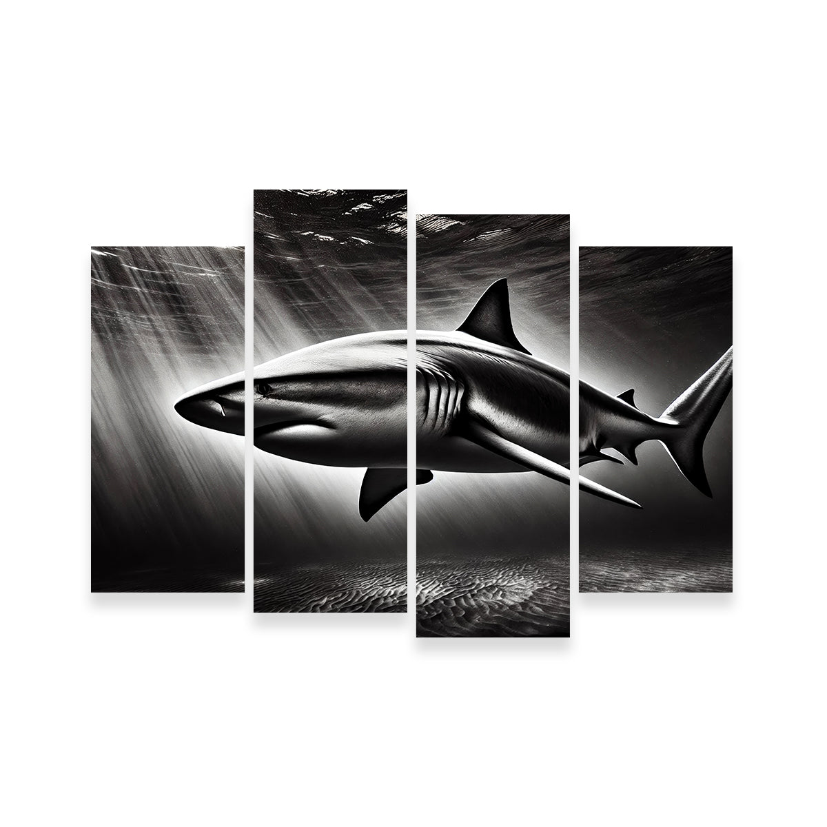 Bull Shark Grayscale Wall Art