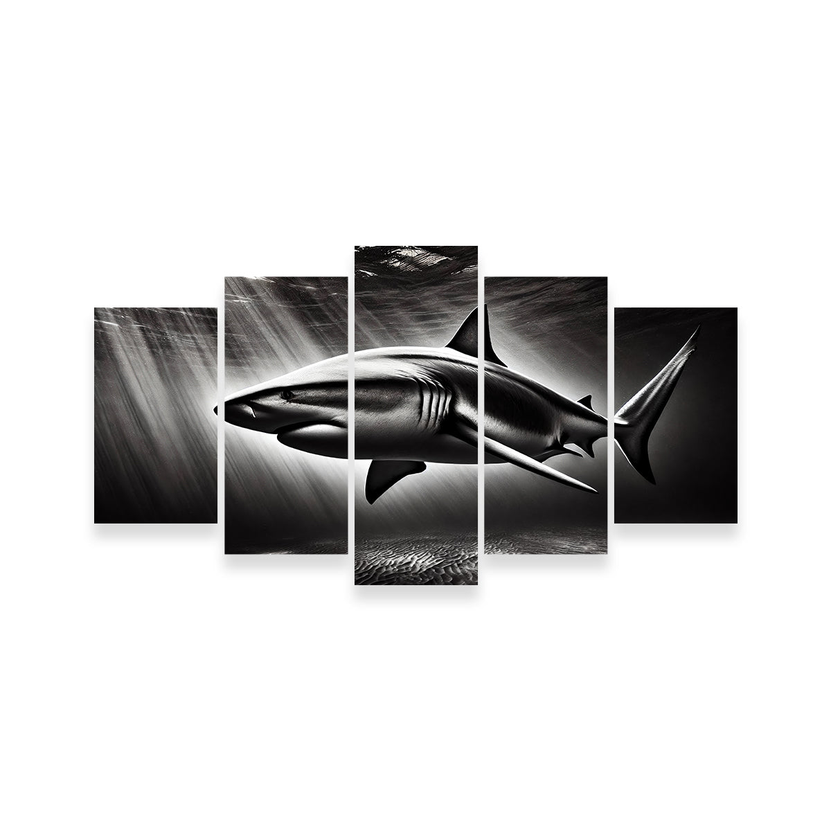 Bull Shark Grayscale Wall Art