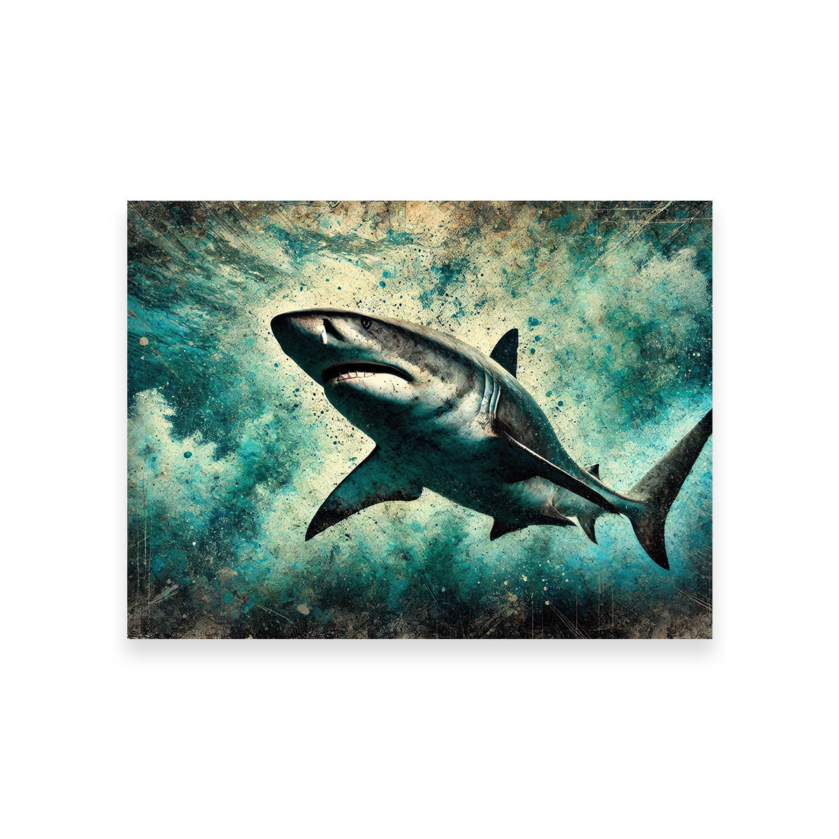 Bull Shark Grunge Wall Art