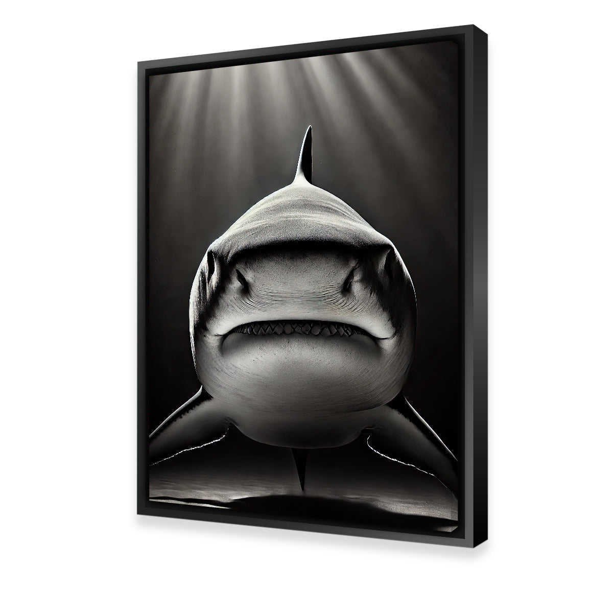 Bull Shark Head On Wall Art