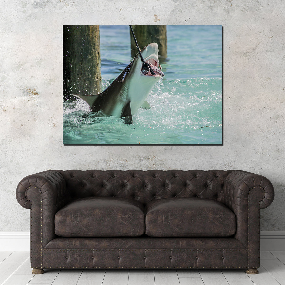 Bull Shark Snacking Wall Art