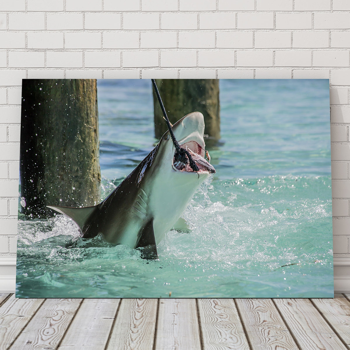 Bull Shark Snacking Wall Art
