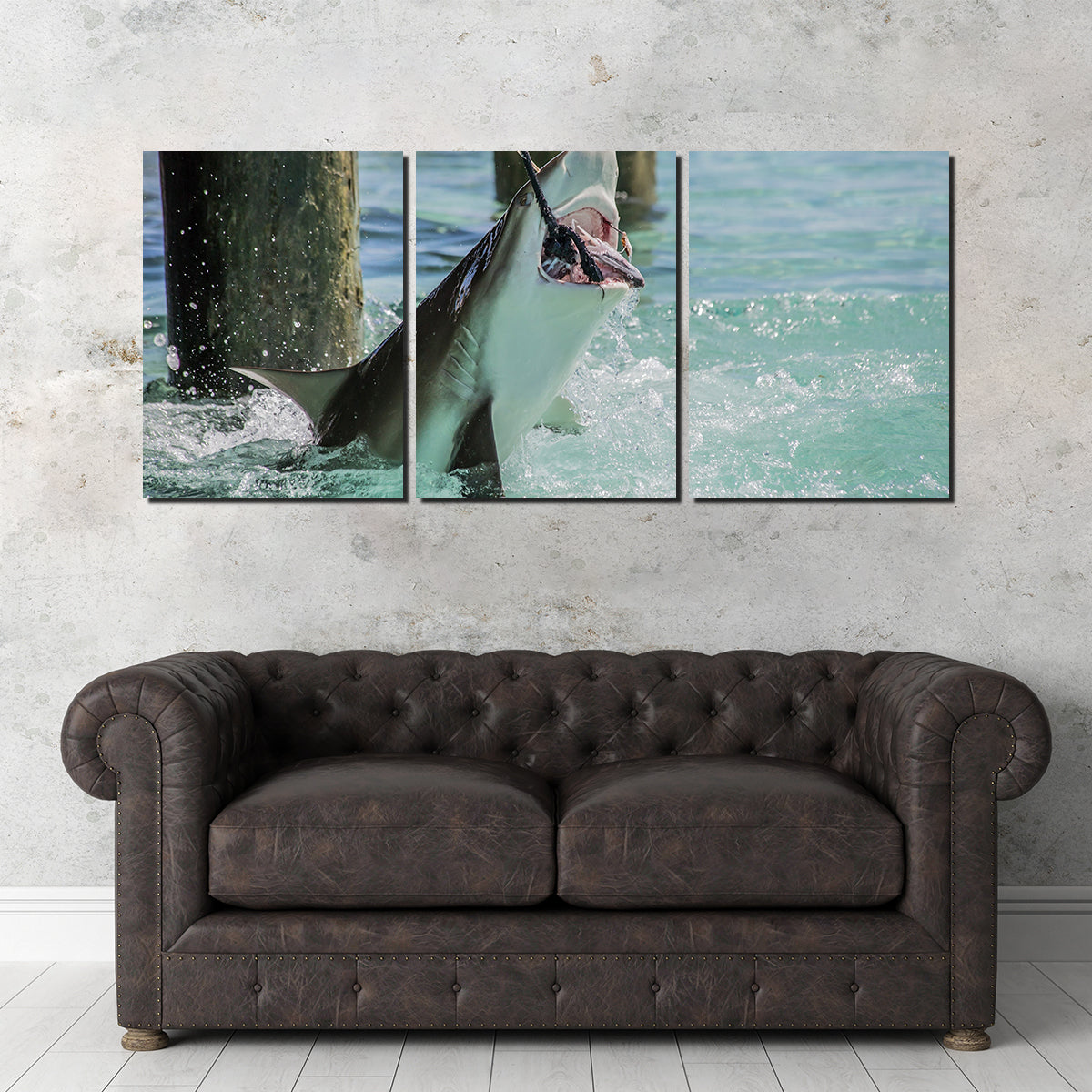 Bull Shark Snacking Wall Art