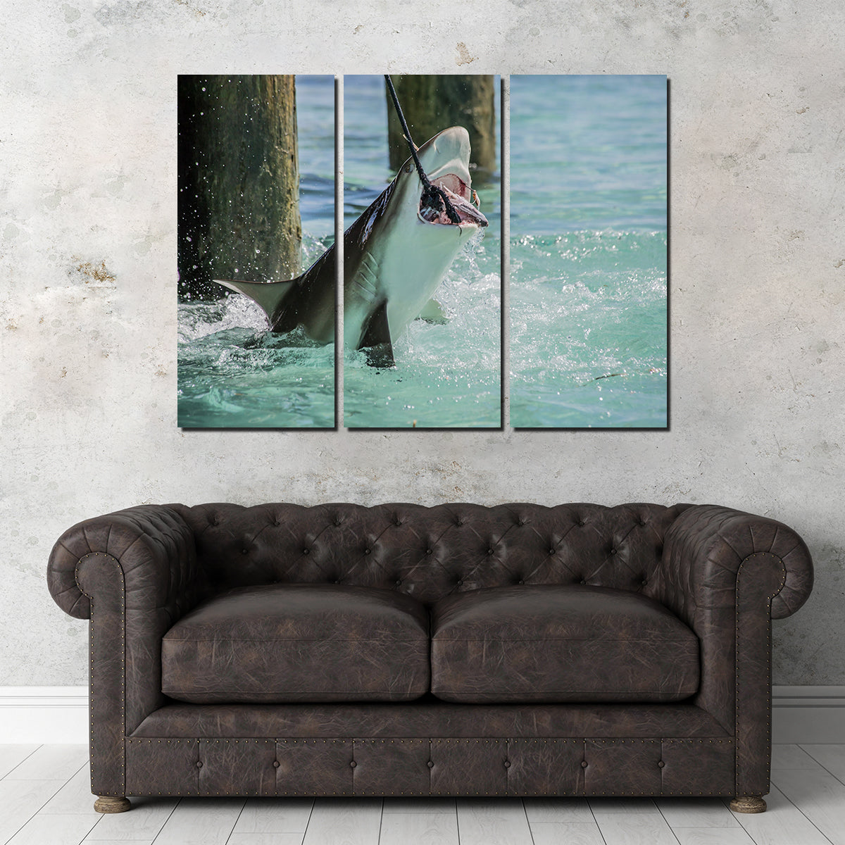 Bull Shark Snacking Wall Art