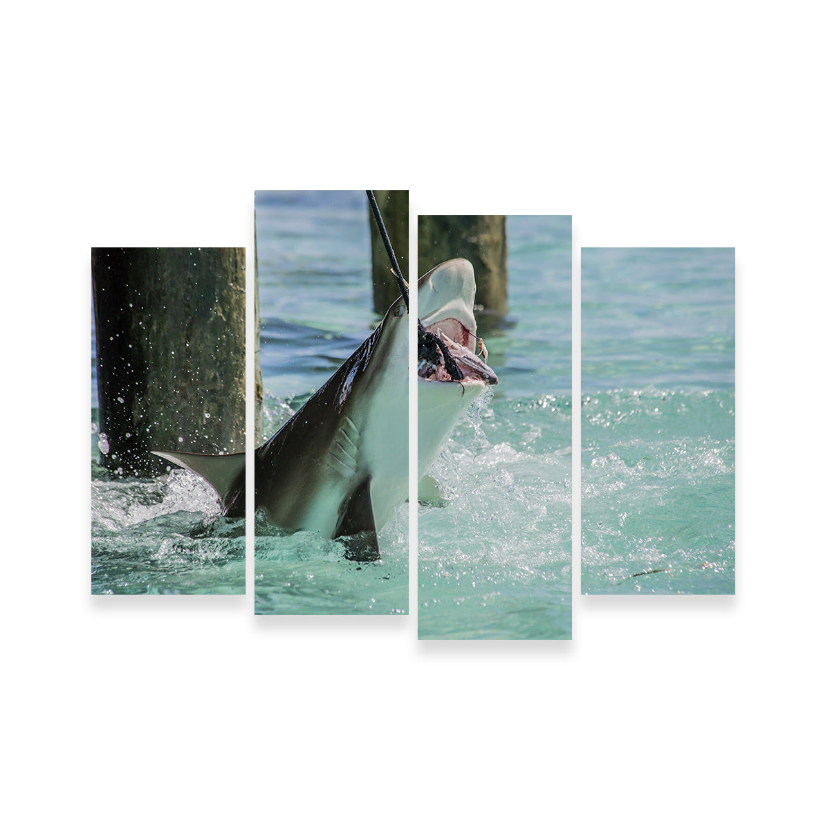 Bull Shark Snacking Wall Art