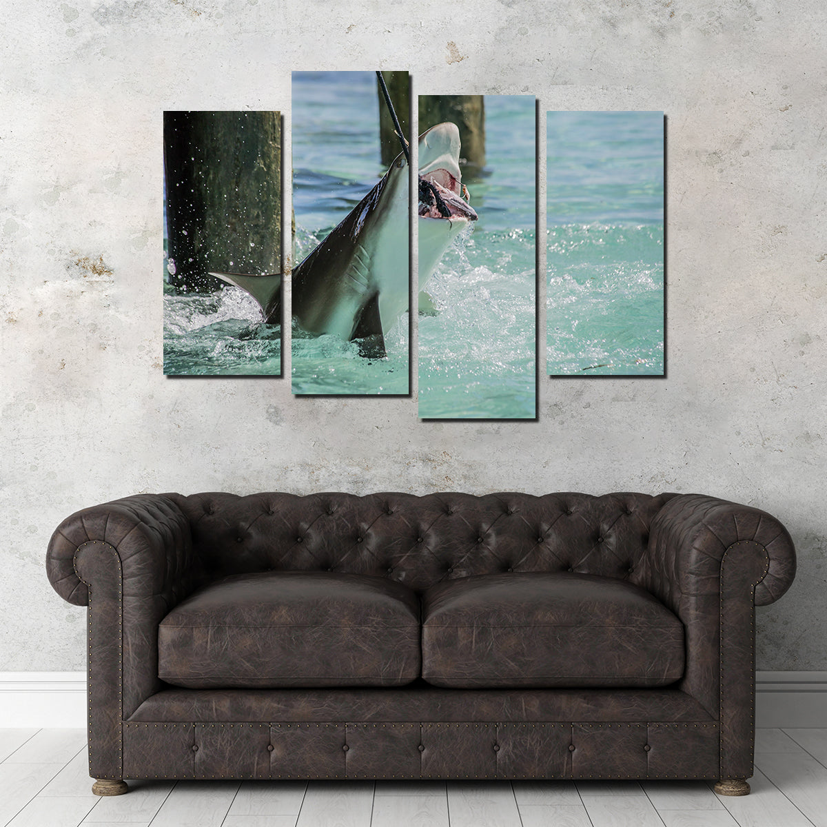 Bull Shark Snacking Wall Art