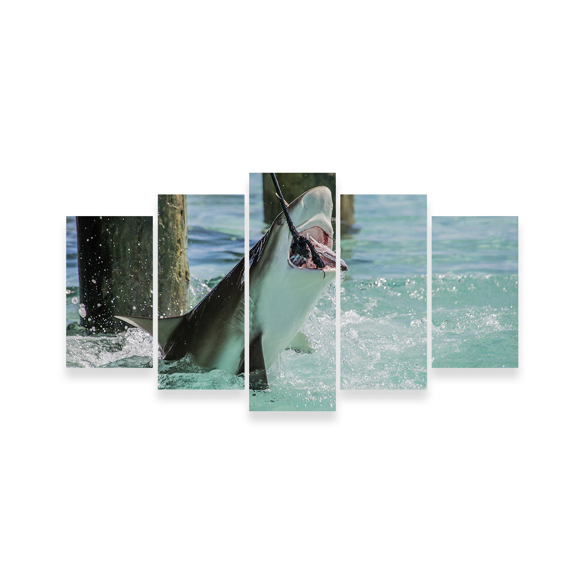 Bull Shark Snacking Wall Art