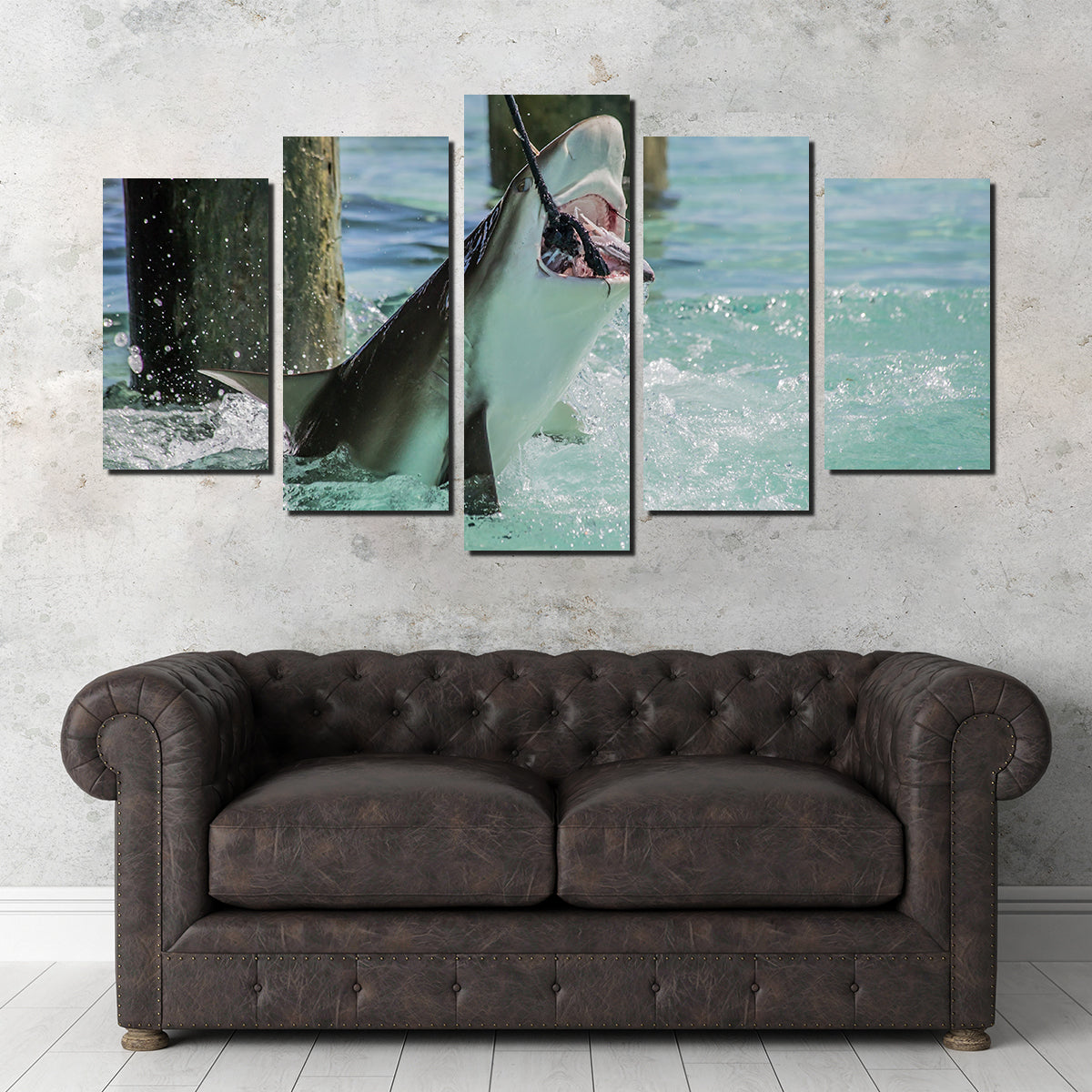 Bull Shark Snacking Wall Art