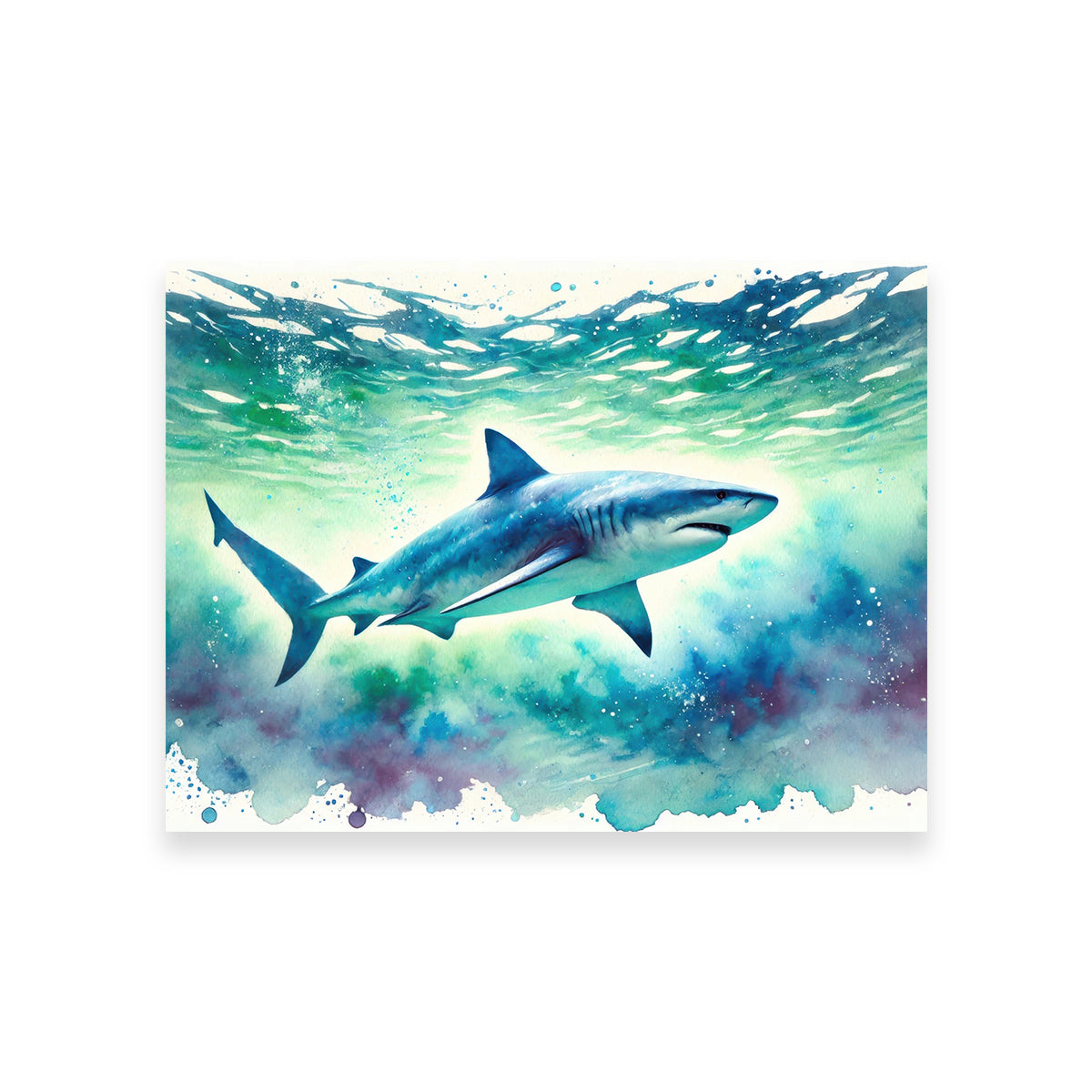 Bull Shark Watercolor