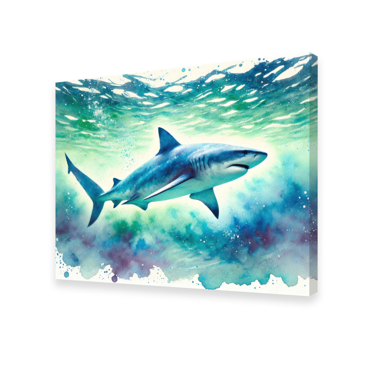 Bull Shark Watercolor