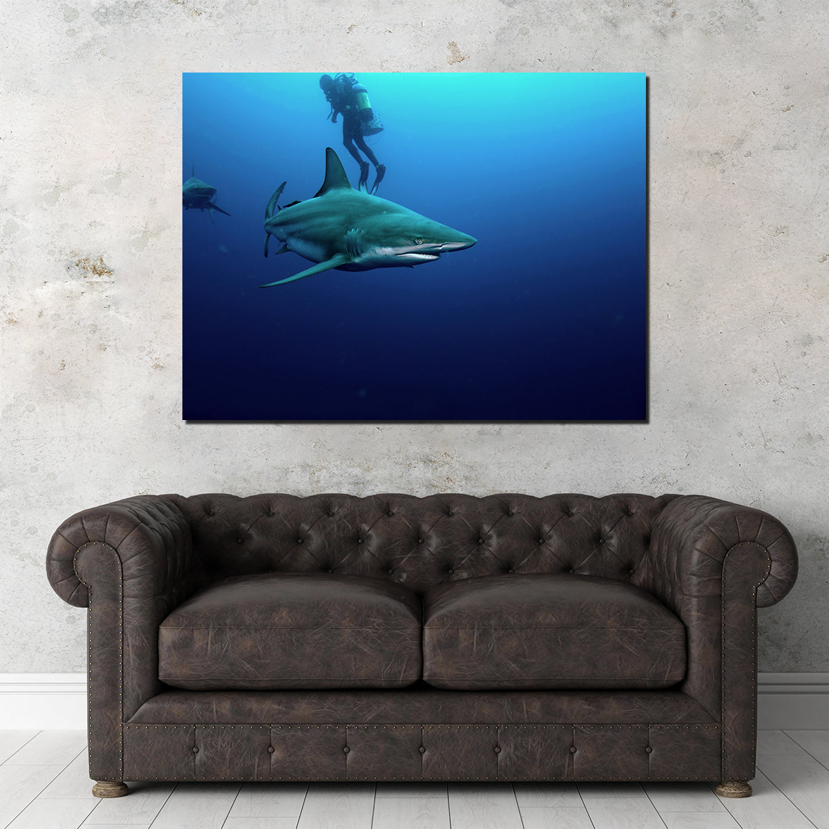 Bull Shark & Diver Wall Art
