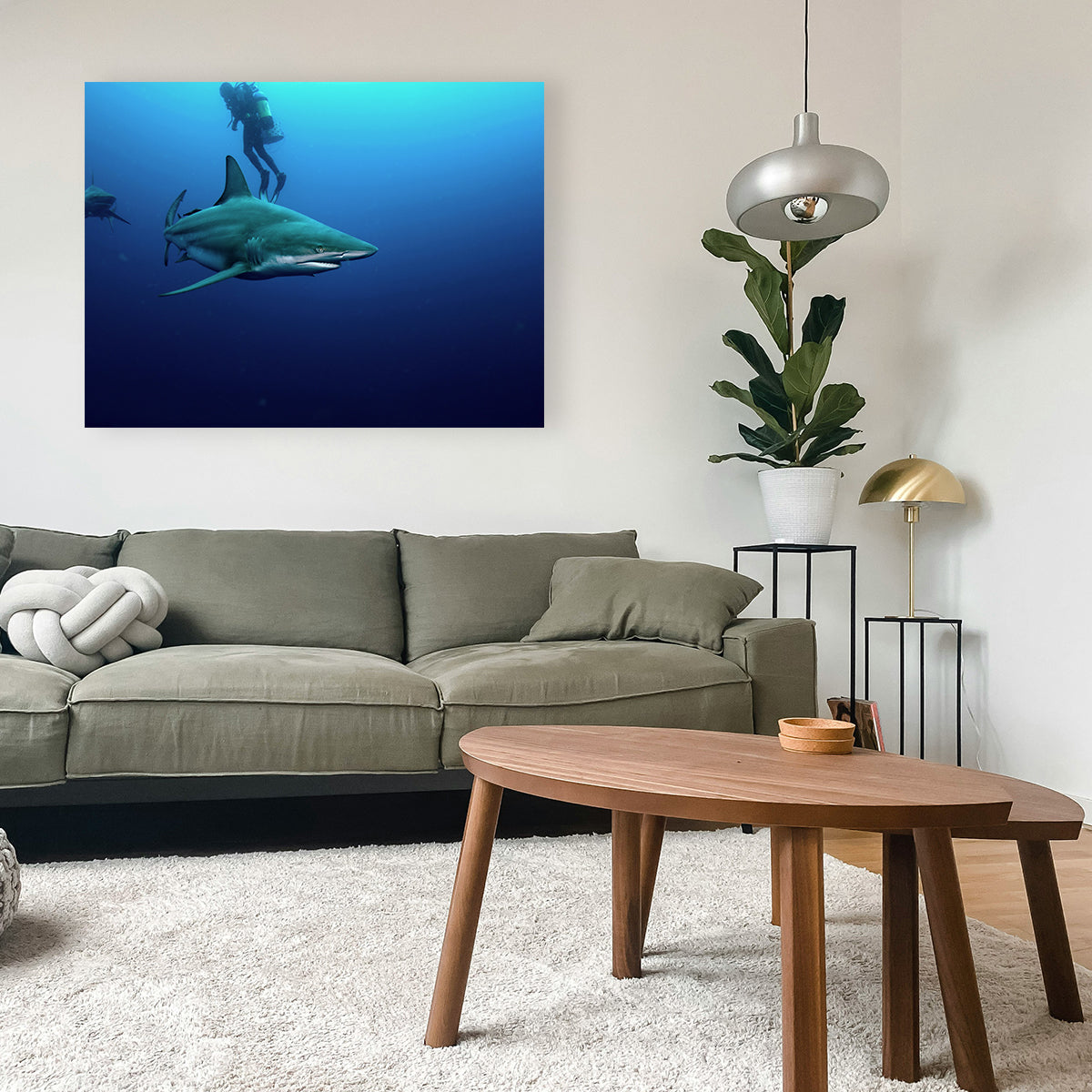 Bull Shark & Diver Wall Art