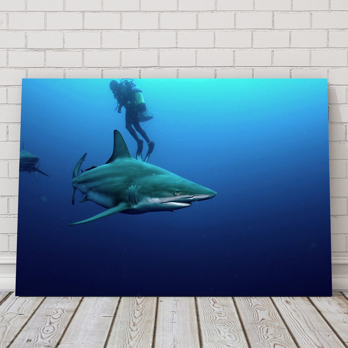 Bull Shark & Diver Wall Art