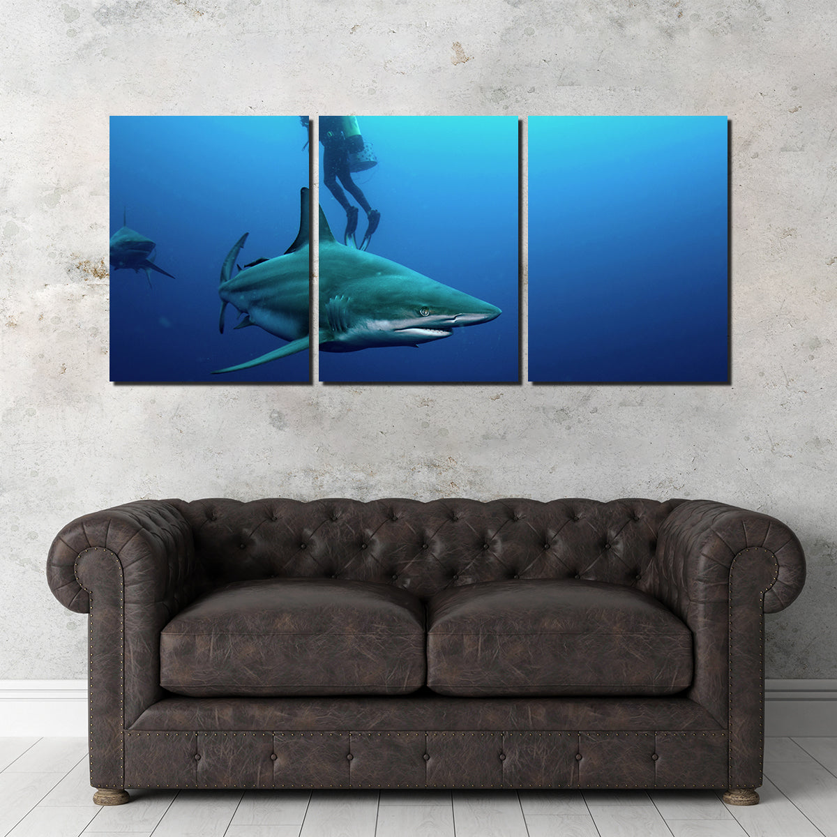 Bull Shark & Diver Wall Art