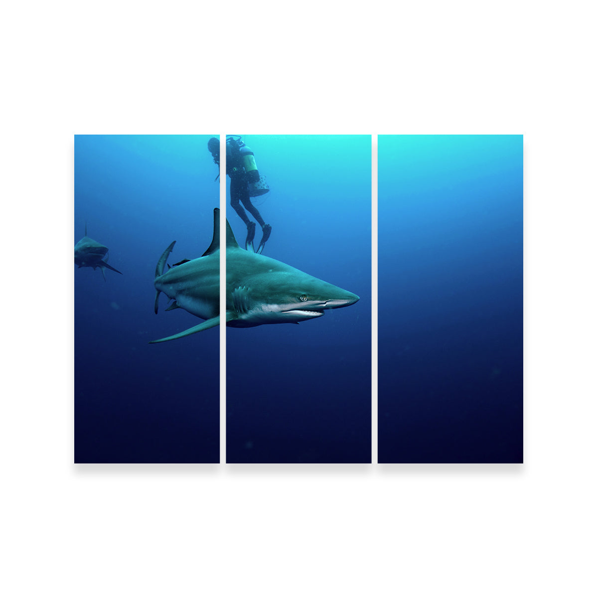 Bull Shark & Diver Wall Art