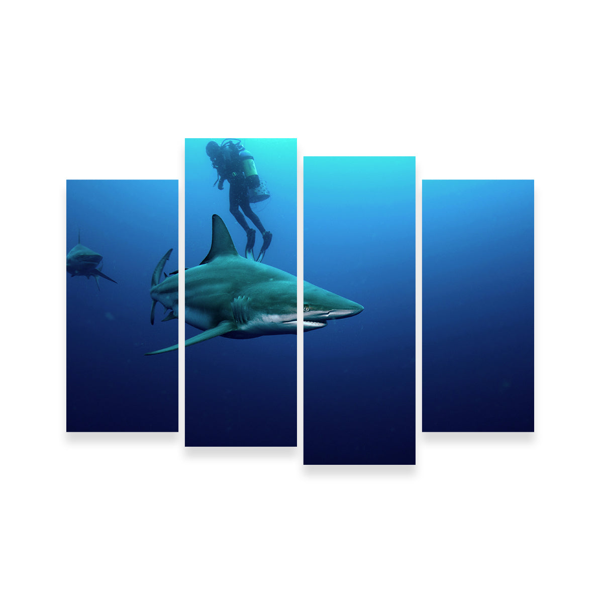 Bull Shark & Diver Wall Art