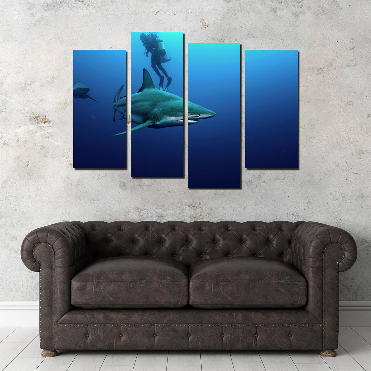 Bull Shark & Diver Wall Art