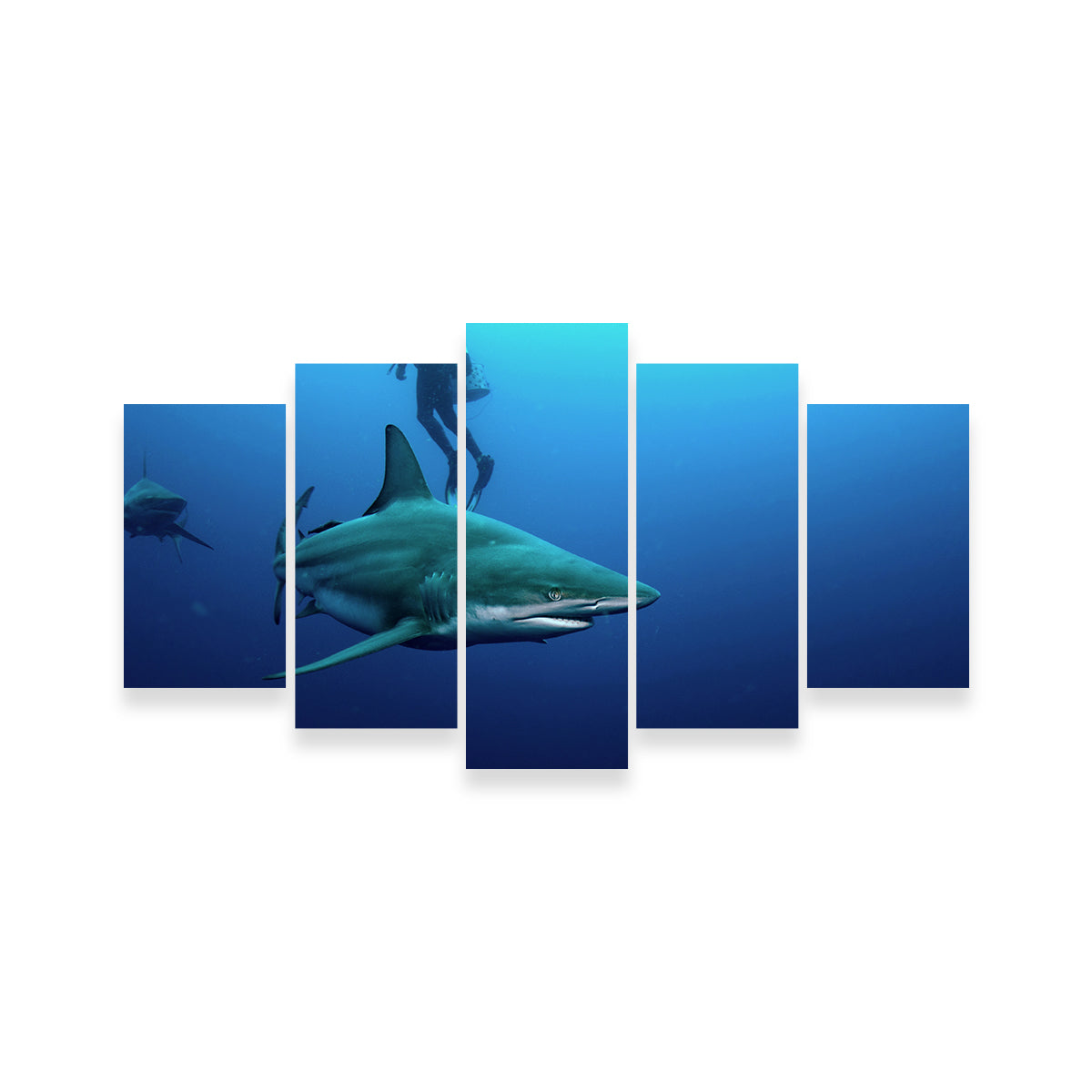 Bull Shark & Diver Wall Art