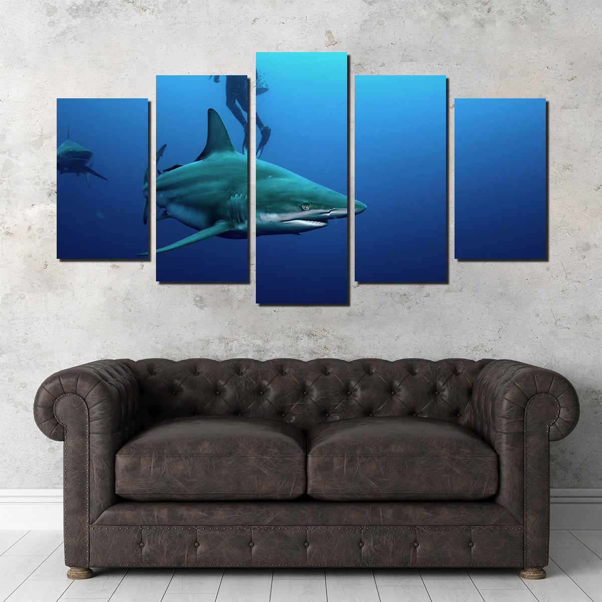 Bull Shark & Diver Wall Art