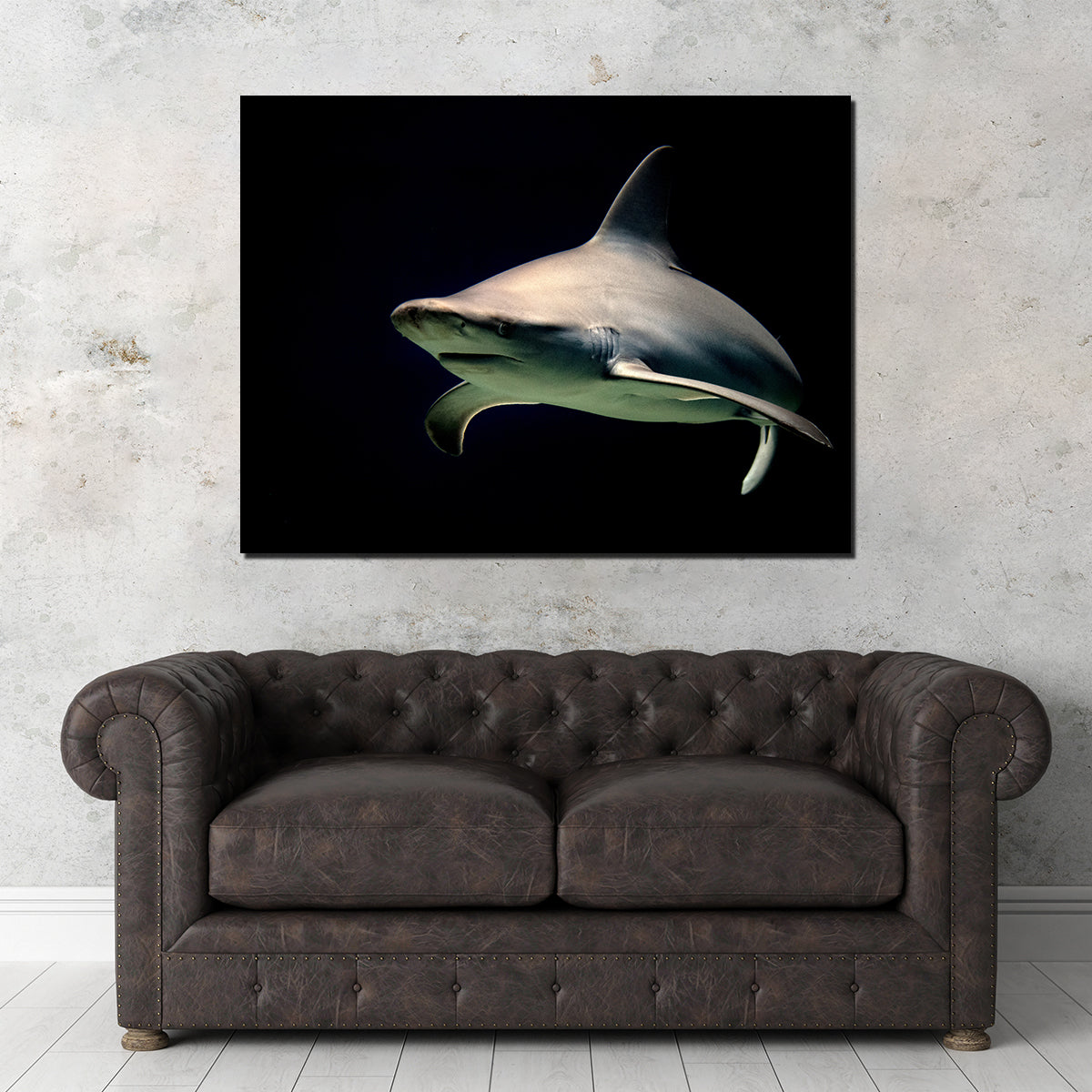 Bull Shark at Night Wall Art