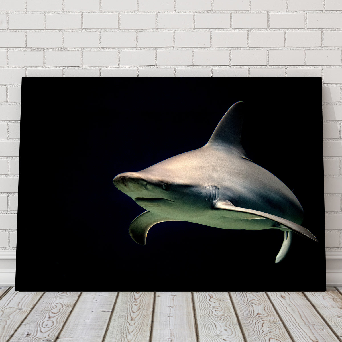 Bull Shark at Night Wall Art