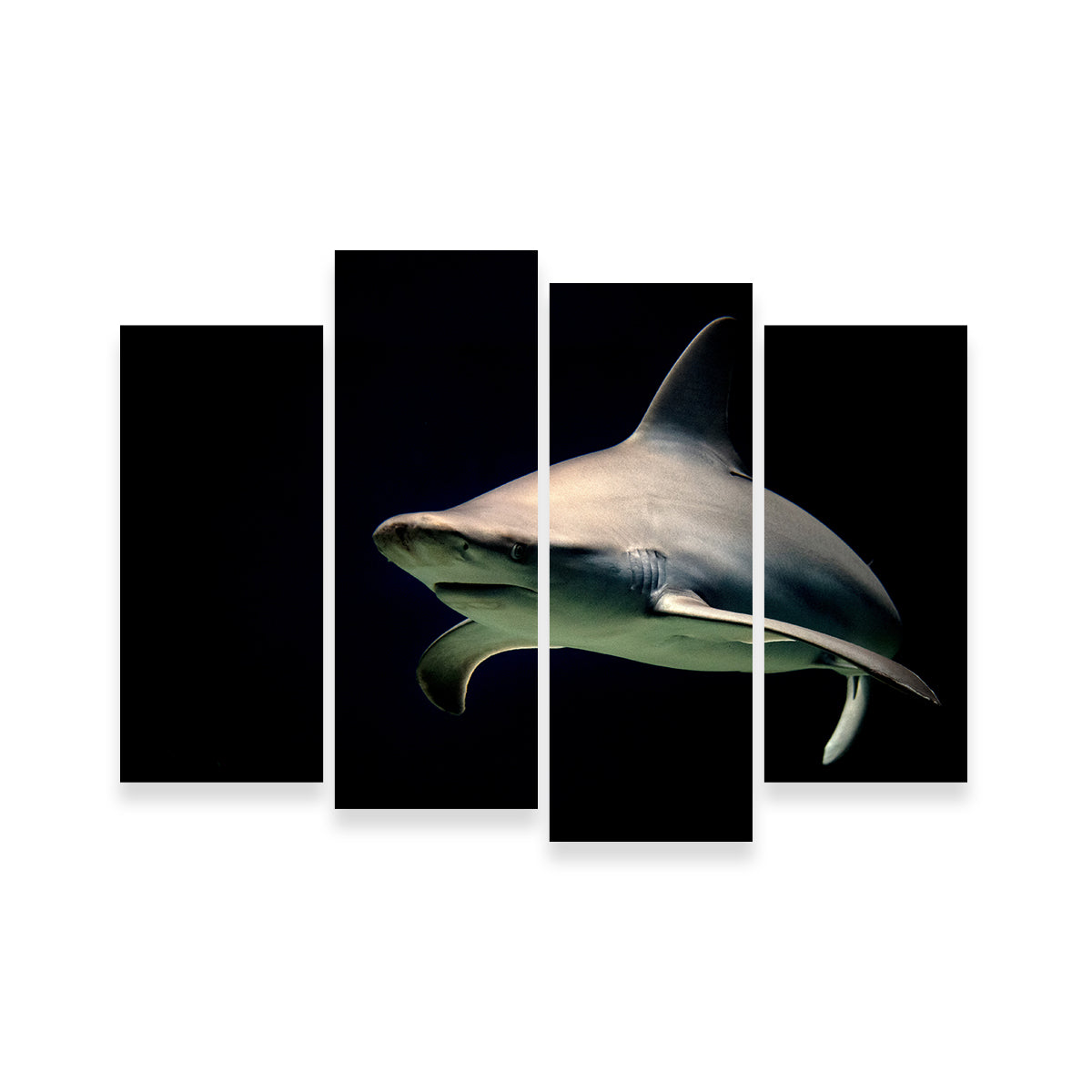 Bull Shark at Night Wall Art