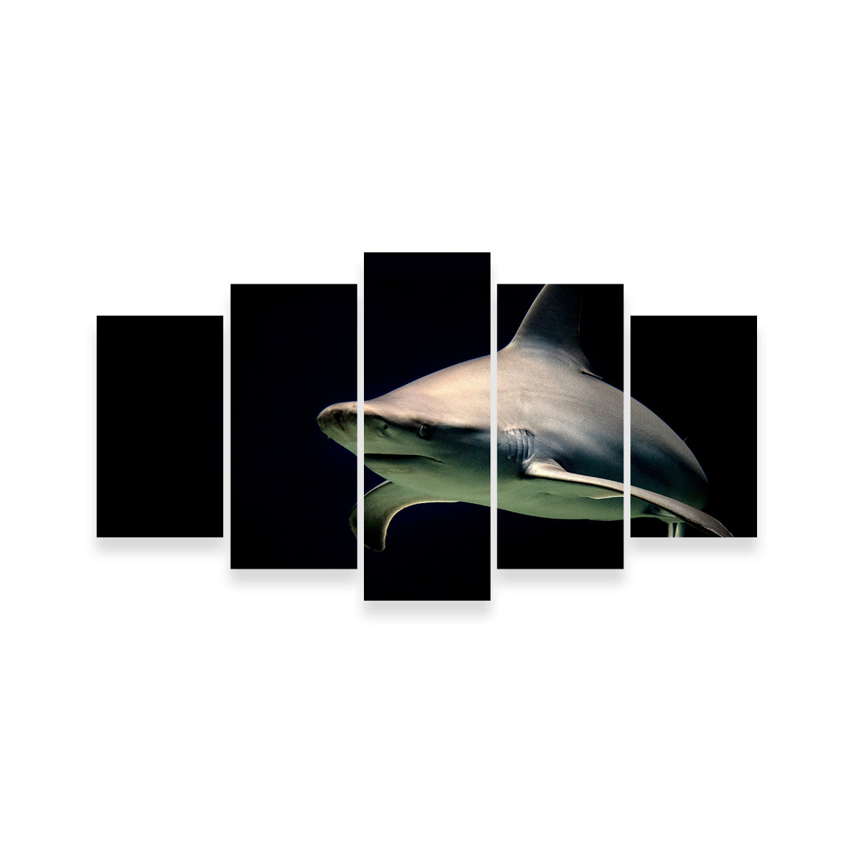 Bull Shark at Night Wall Art