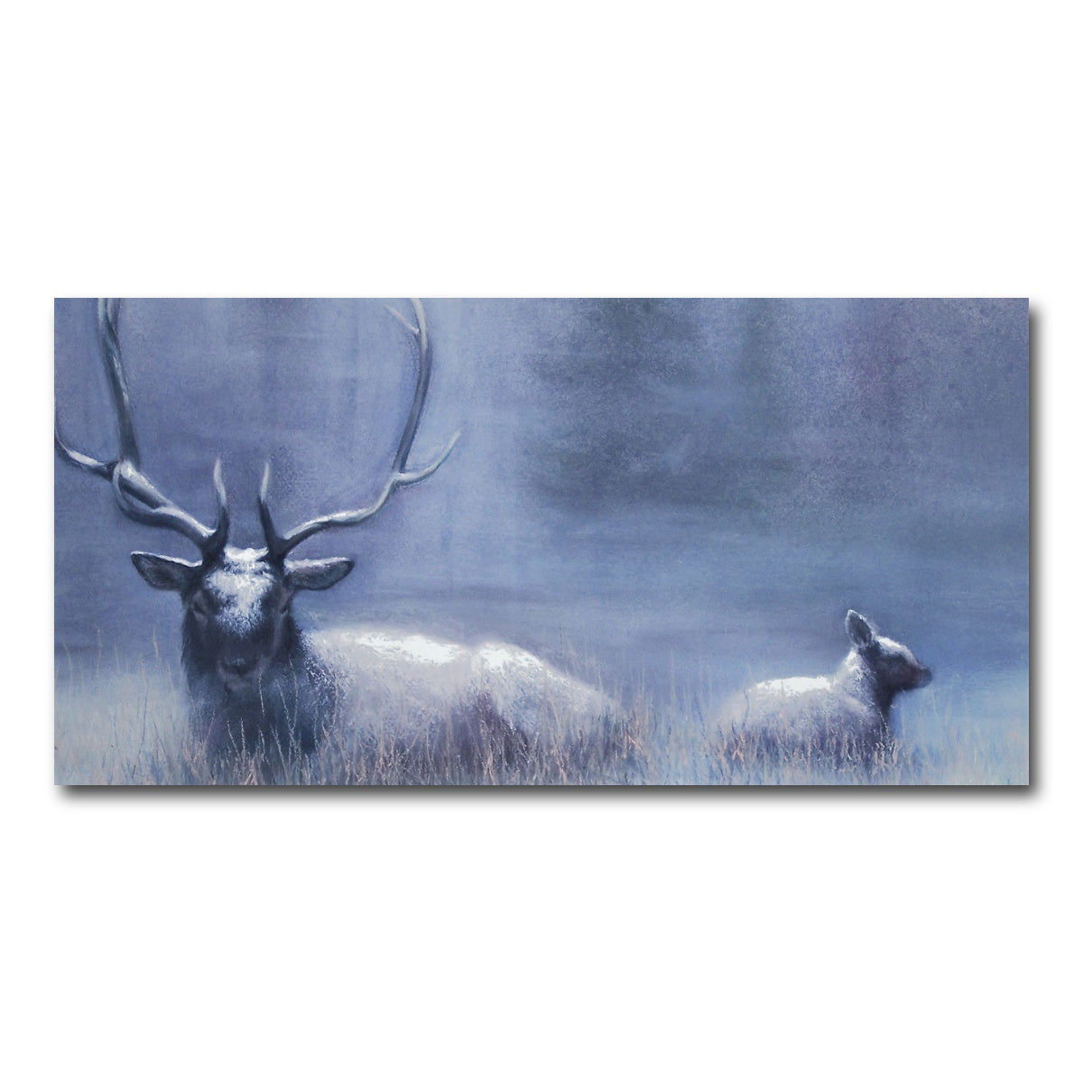 AUTO-MOCKUP WHITE | Bull Elk & Calf Blue | 1 Piece | Gallery Wrap Canvas | group=2x1