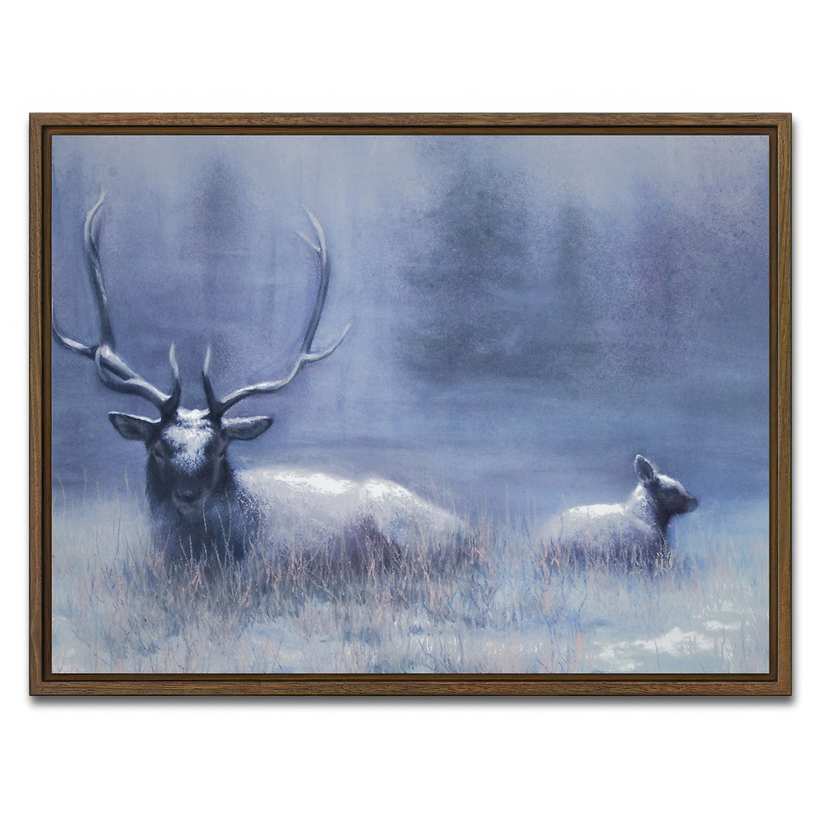 AUTO-MOCKUP WHITE | Bull Elk & Calf Blue | 1 Piece | Walnut Framed Canvas | group=4x3