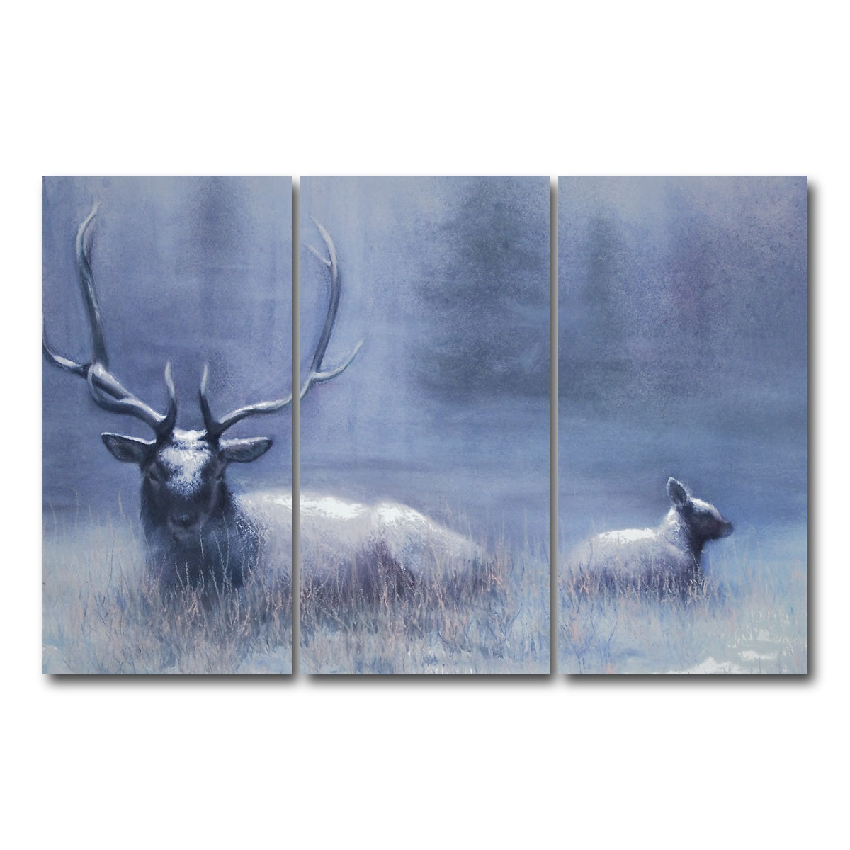 AUTO-MOCKUP WHITE | Bull Elk & Calf Blue | 3 Piece | Gallery Wrap Canvas | group=12x24