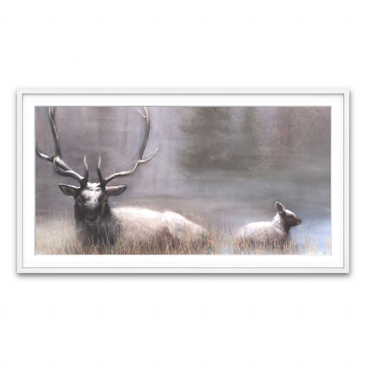 Framed Print 2x1 White