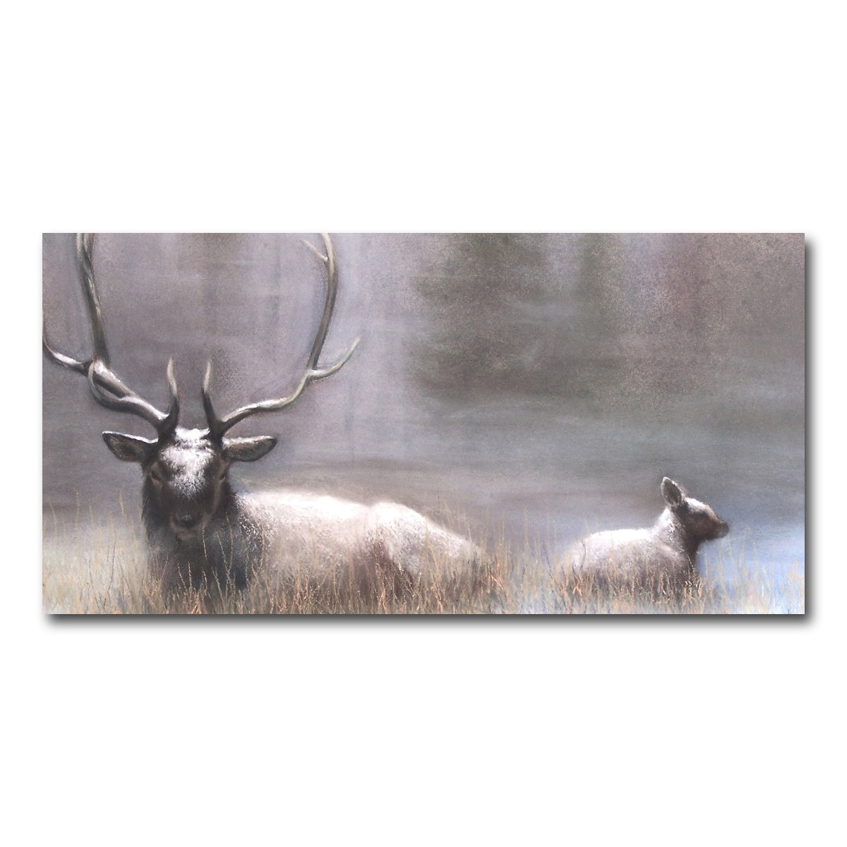 AUTO-MOCKUP WHITE | Bull Elk & Calf | 1 Piece | Gallery Wrap Canvas | group=2x1