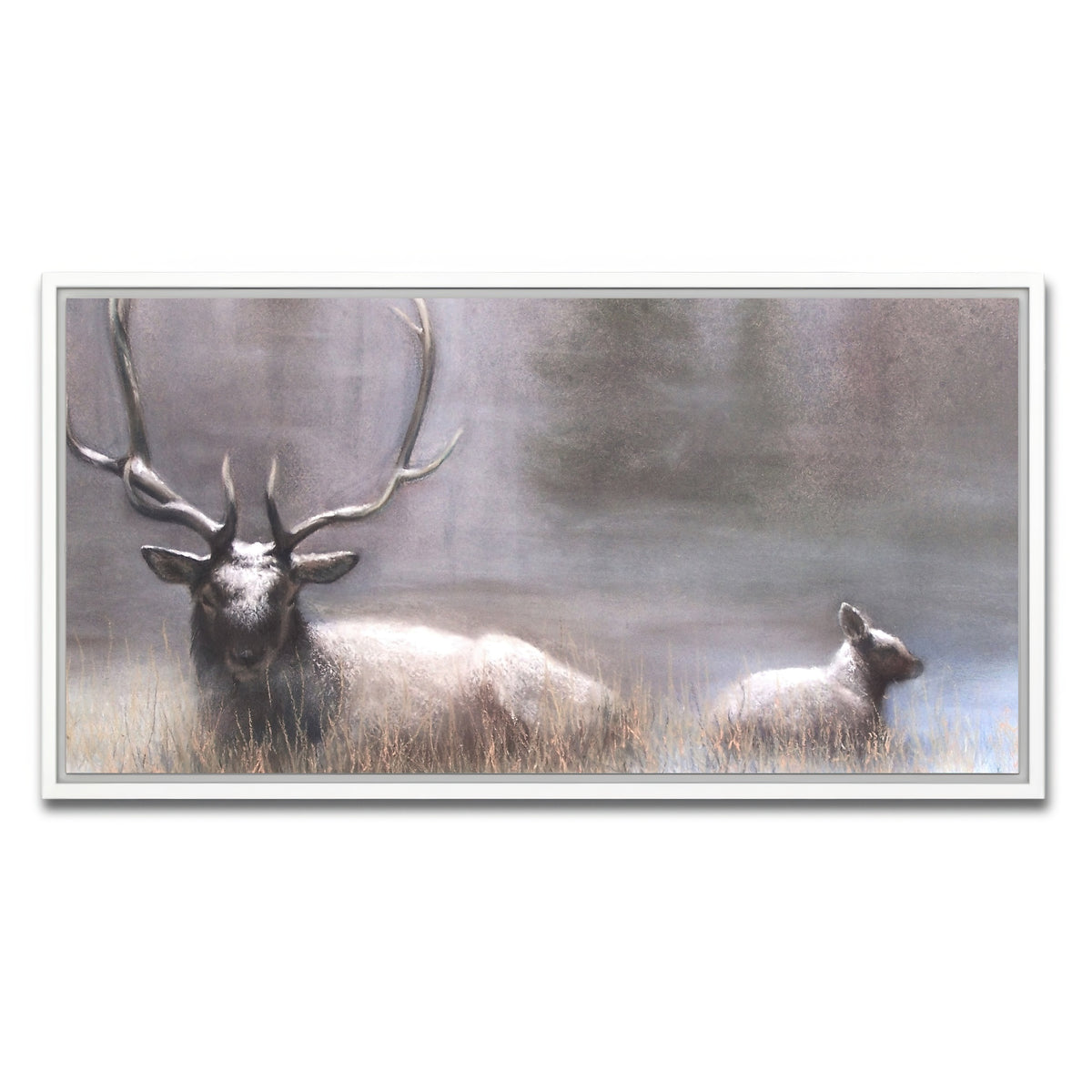 AUTO-MOCKUP WHITE | Bull Elk & Calf | 1 Piece | White Framed Canvas | group=2x1