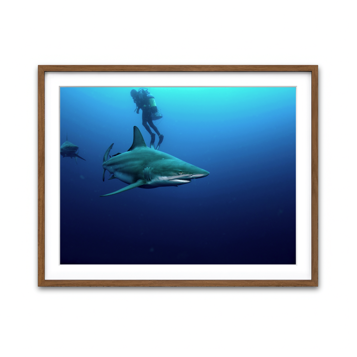 Framed Print 4x3 Walnut