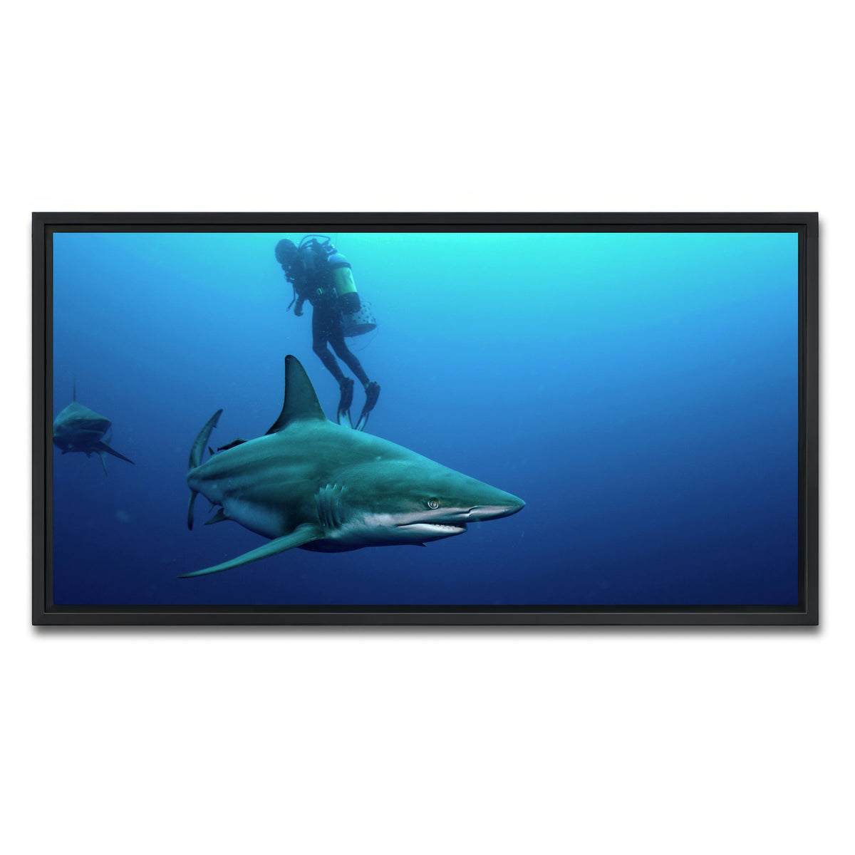 AUTO-MOCKUP WHITE | Bull Shark & Diver | 1 Piece | Black Framed Canvas | group=2x1
