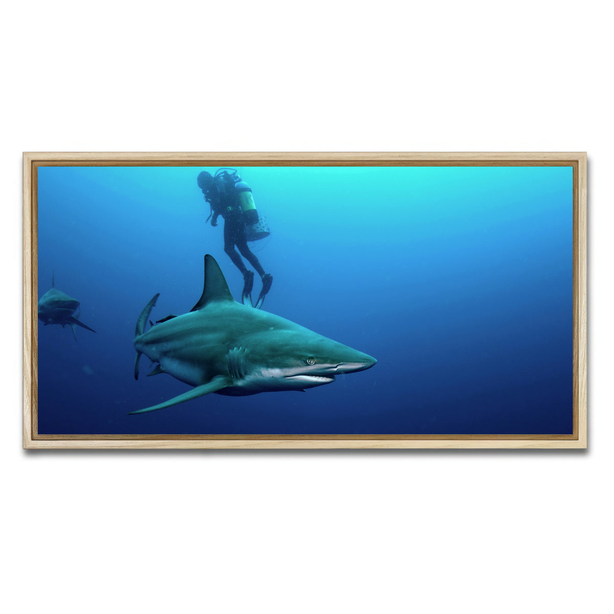 AUTO-MOCKUP WHITE | Bull Shark & Diver | 1 Piece | Natural Framed Canvas | group=2x1